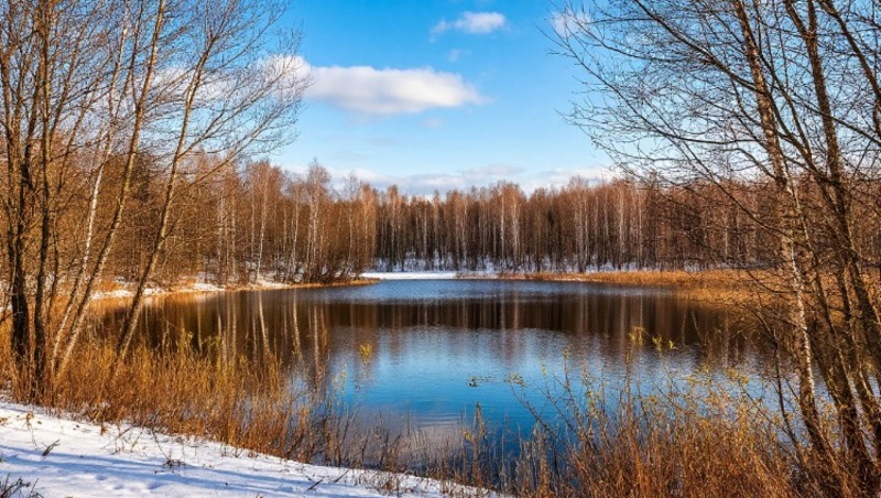 Фото: Изображение создано с помощью нейросети «Шедеврум»  
