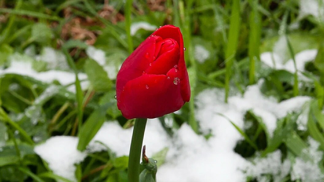    Фото: Roman Denisov/Global Look Press