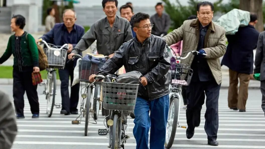    Фото: Truba7113/Shutterstock.com