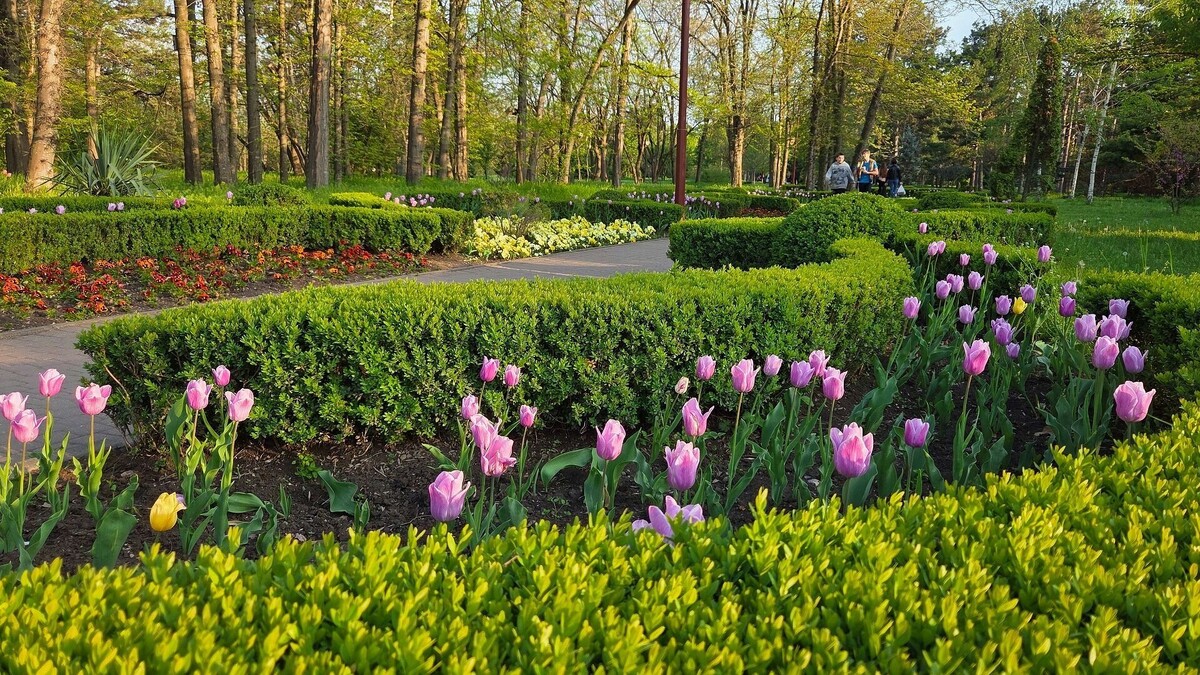     Автор: KubanPress