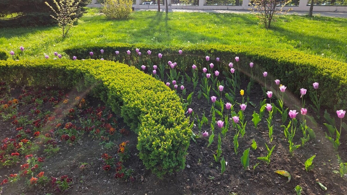     Автор: KubanPress