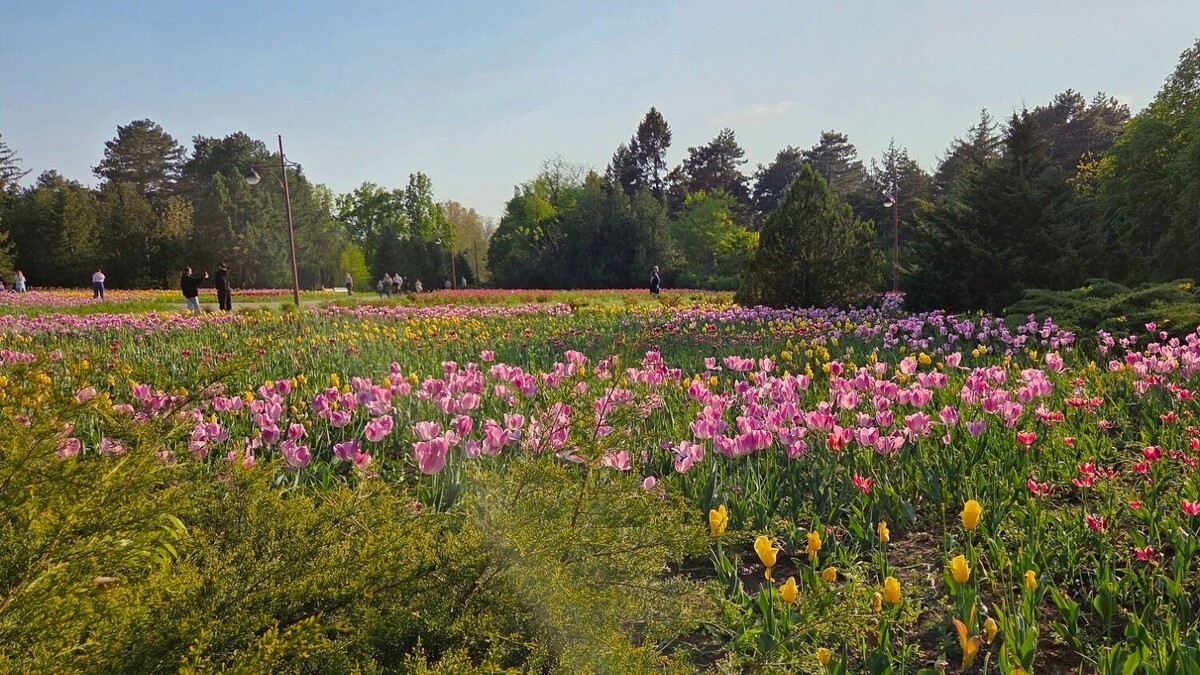     Автор: KubanPress