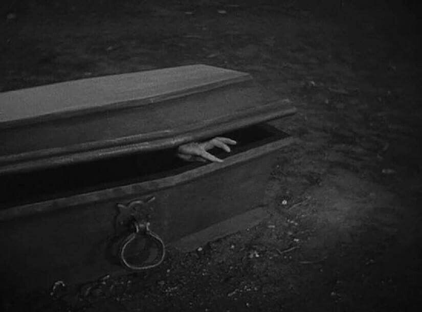 Изображение взято из открытых источников интернета. 