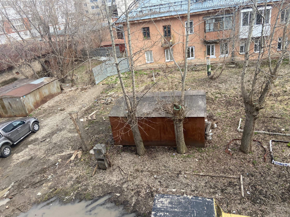 Хочу запечатлеть двор до субботника