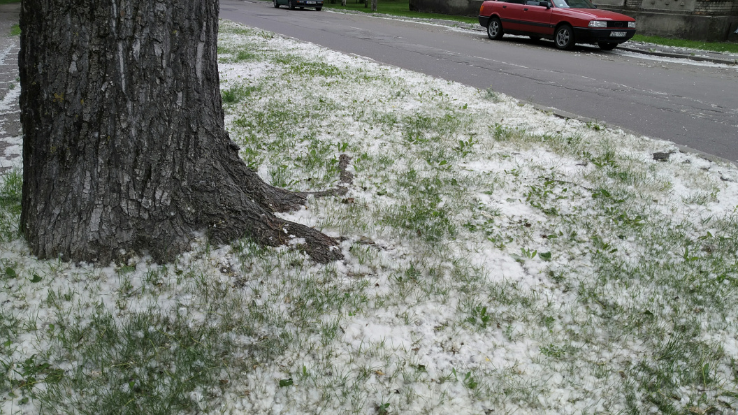    Фото: Victor Lisitsyn, Виктор Лисицын/Global Look Press