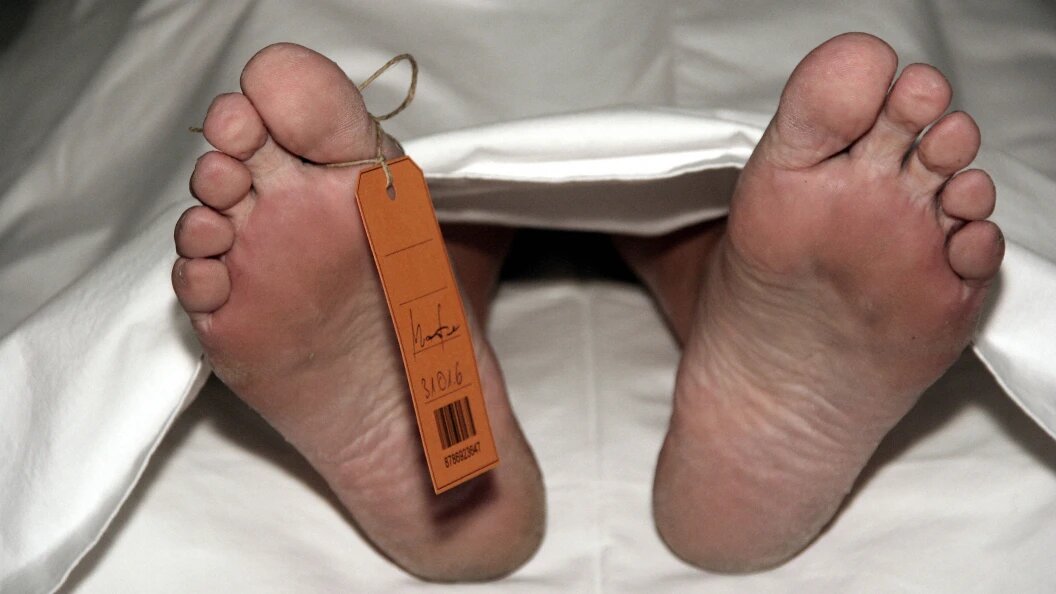    Фото: CHROMORANGE / Bilderbox/Globallookpress