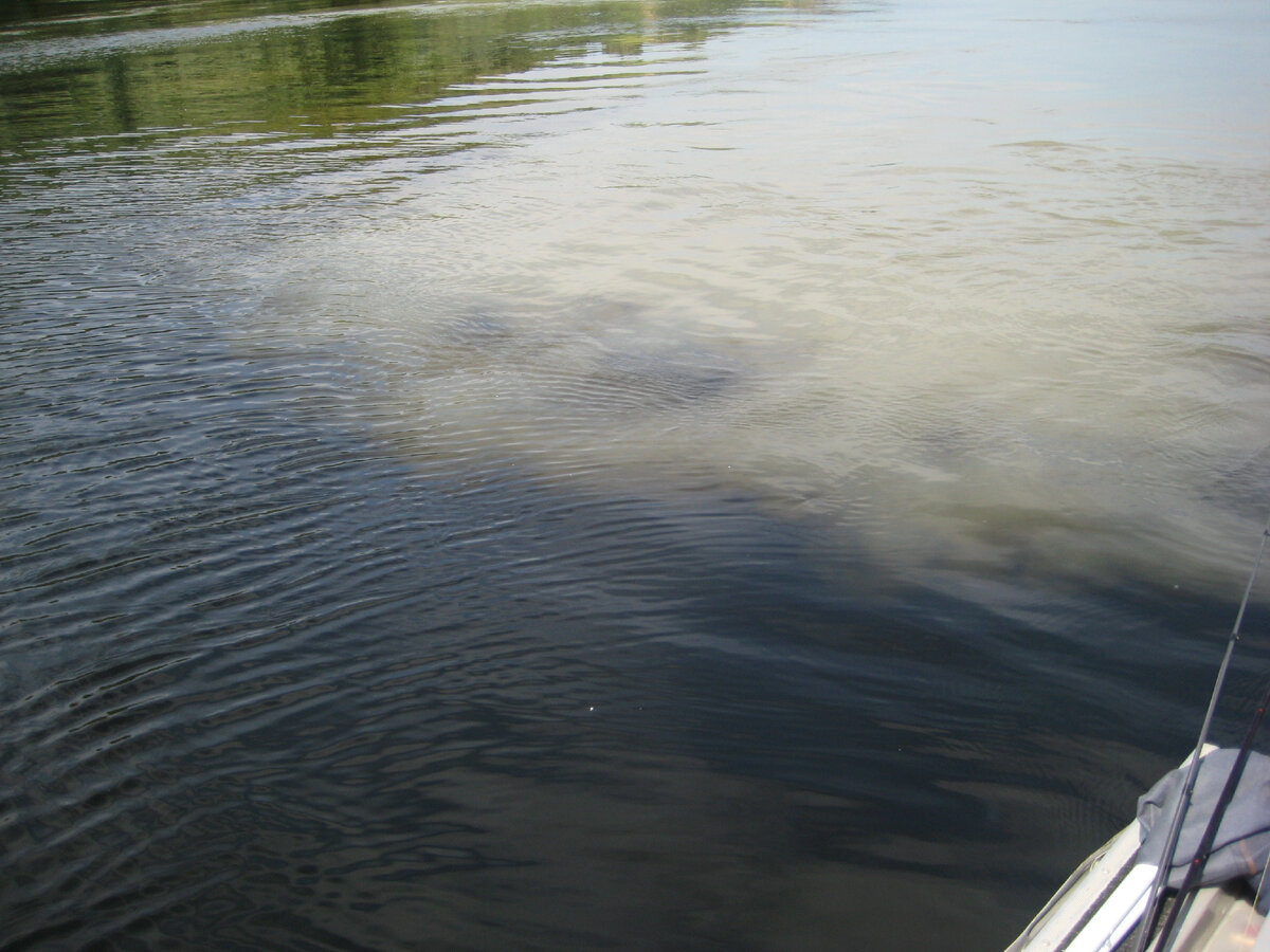 Вытек. Фото автора Калачева А.В.