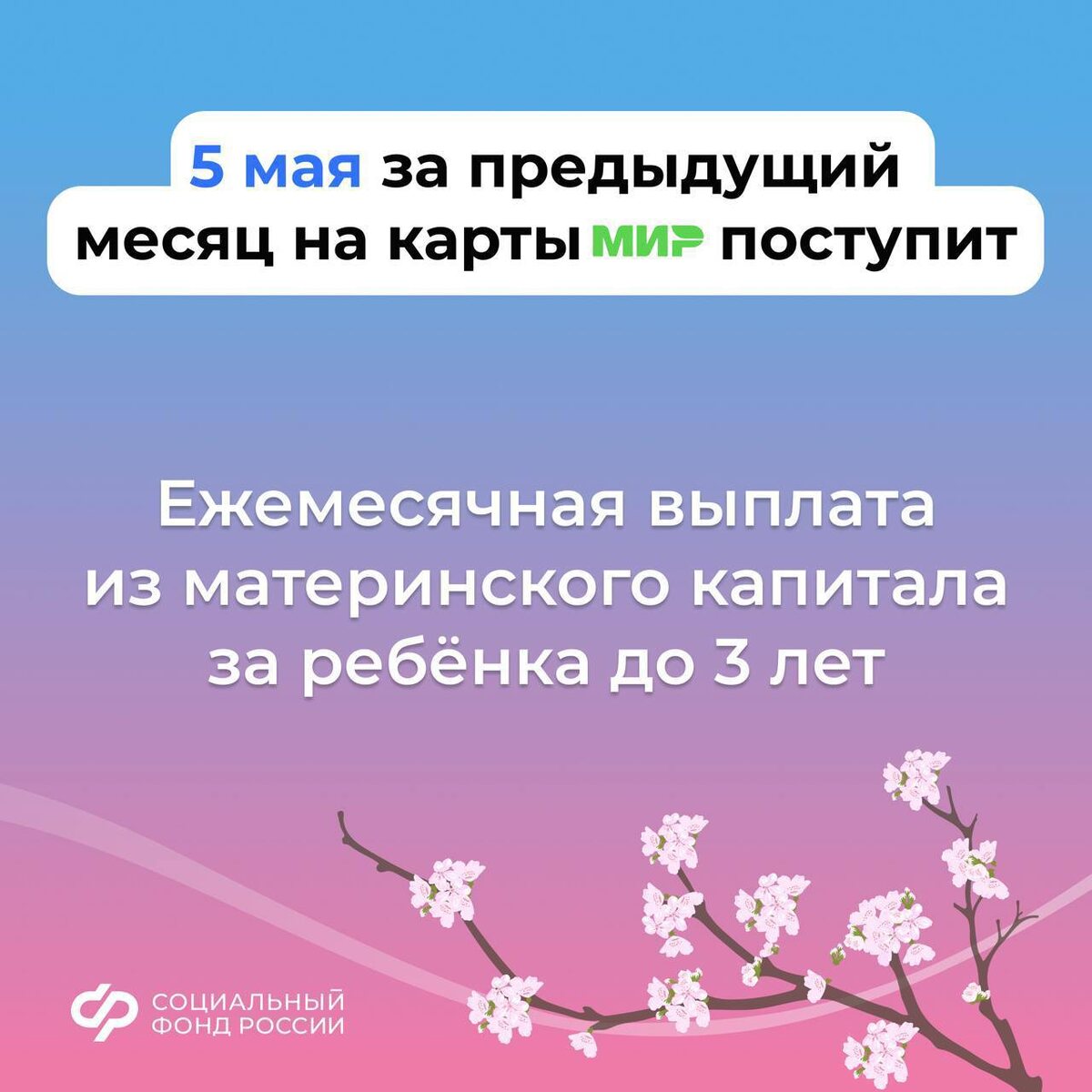 Социальная карта какой счет. Социальная карта какой счет