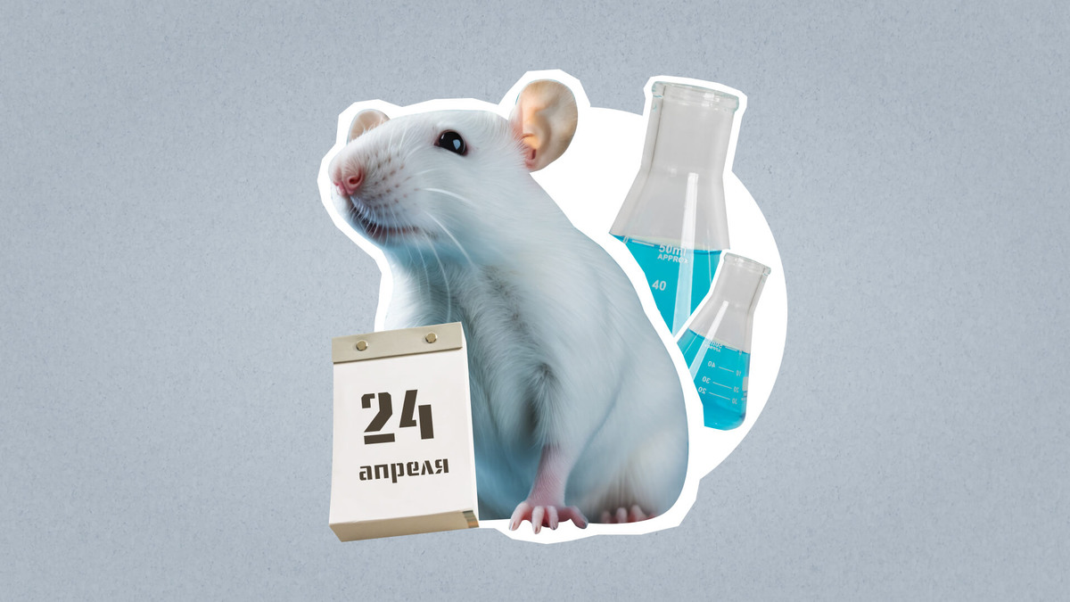    Коллаж: Добро.Медиа