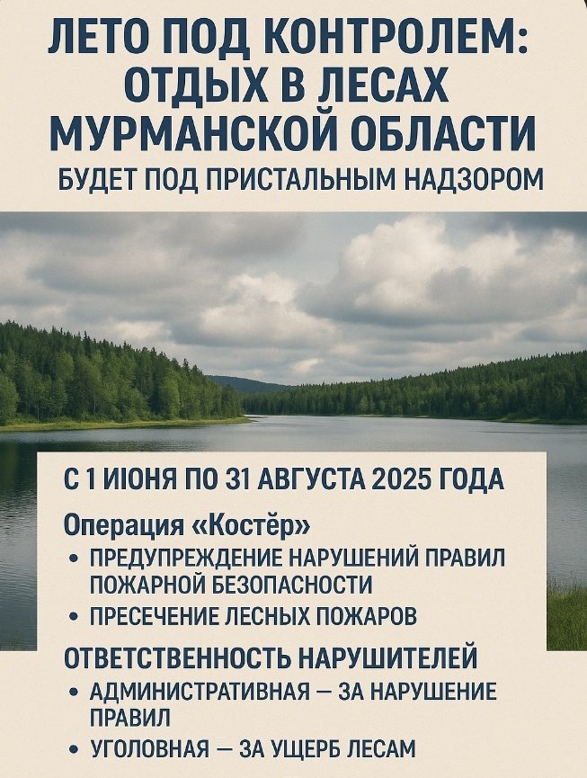 Лето 2025 в Мурманской области