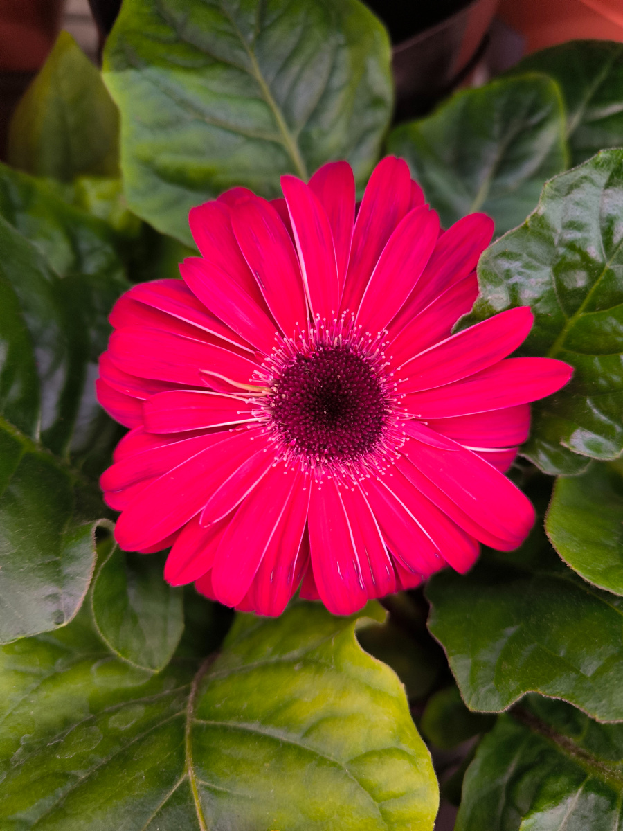 Фотографии в статье авторские