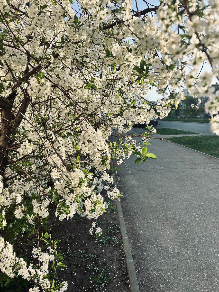 Фотография автора канала.