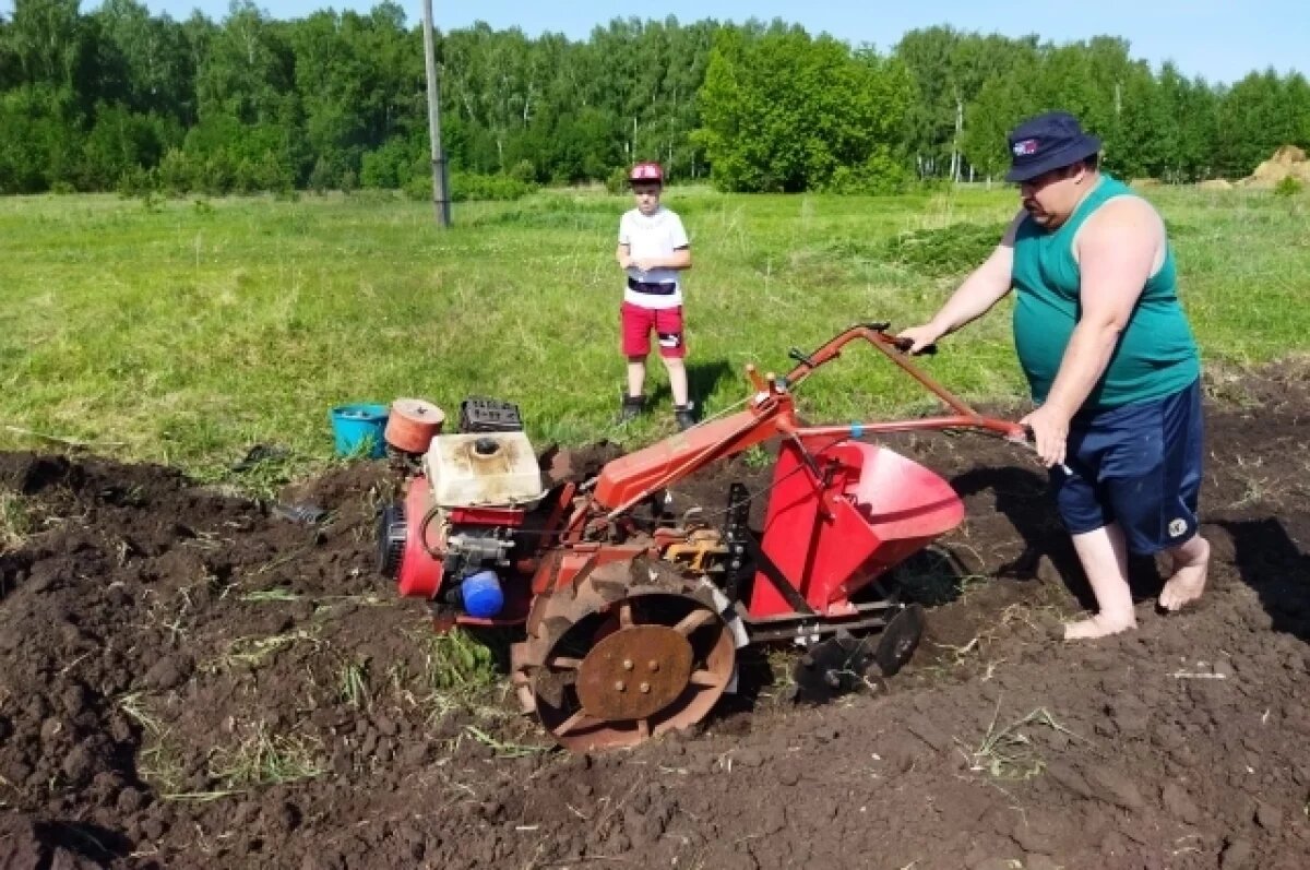    Труд на земле очень тяжёлый и не всегда благодарный, но такой нужный людям.