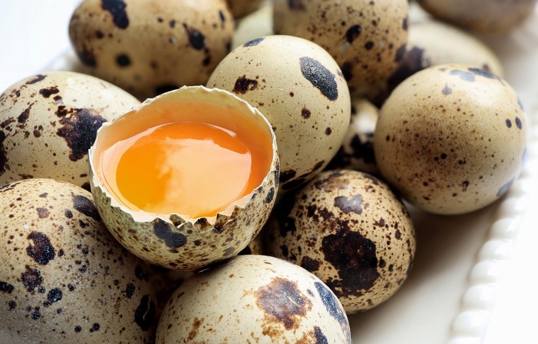    Shutterstock/FOTODOM