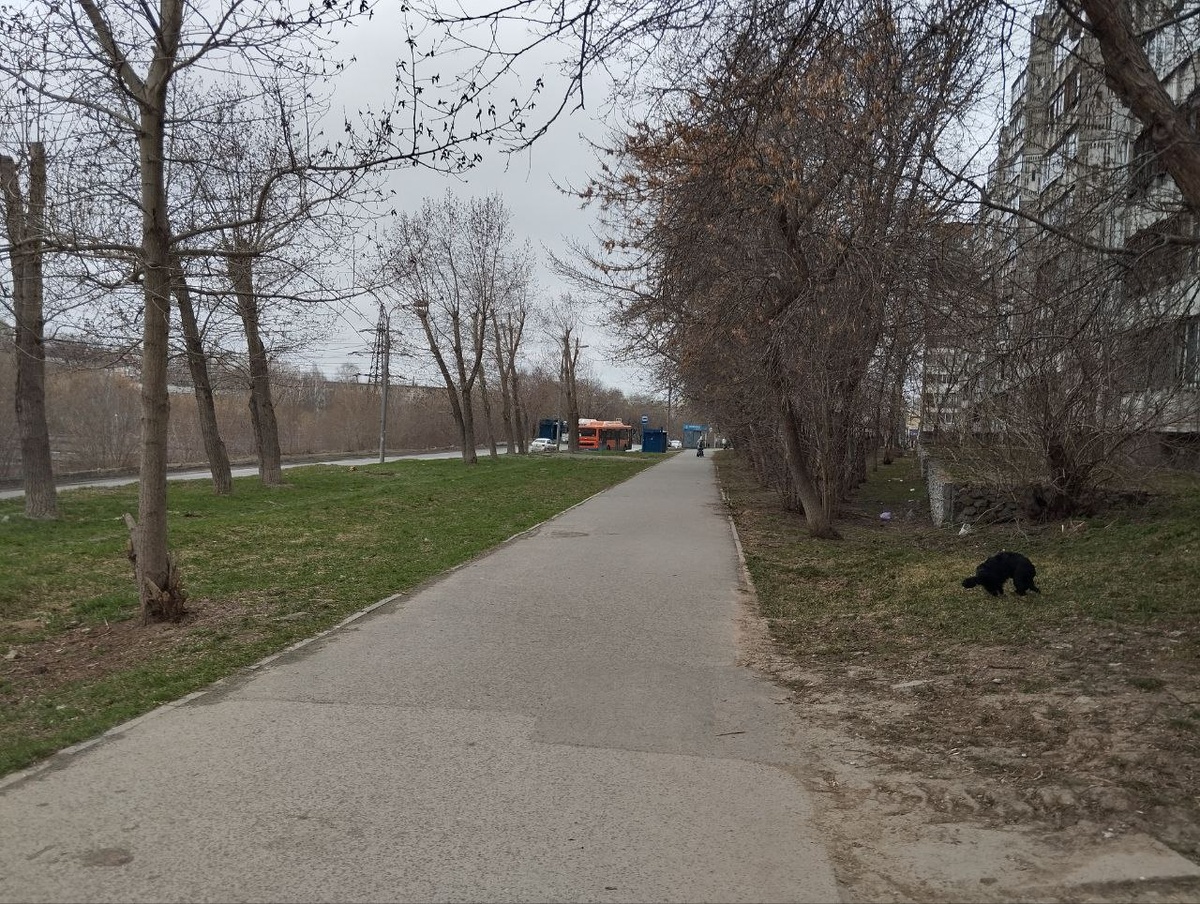 Погода будет пасмурной, но теплой.  Фото: Фото: ФедералПресс / Екатерина Ломакина