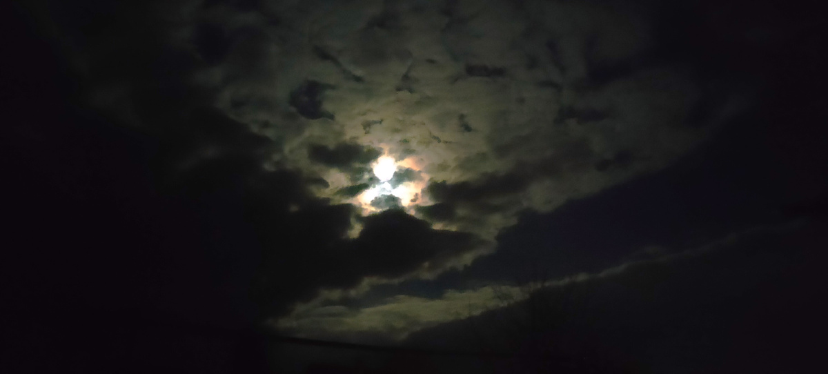 Луна на даче 