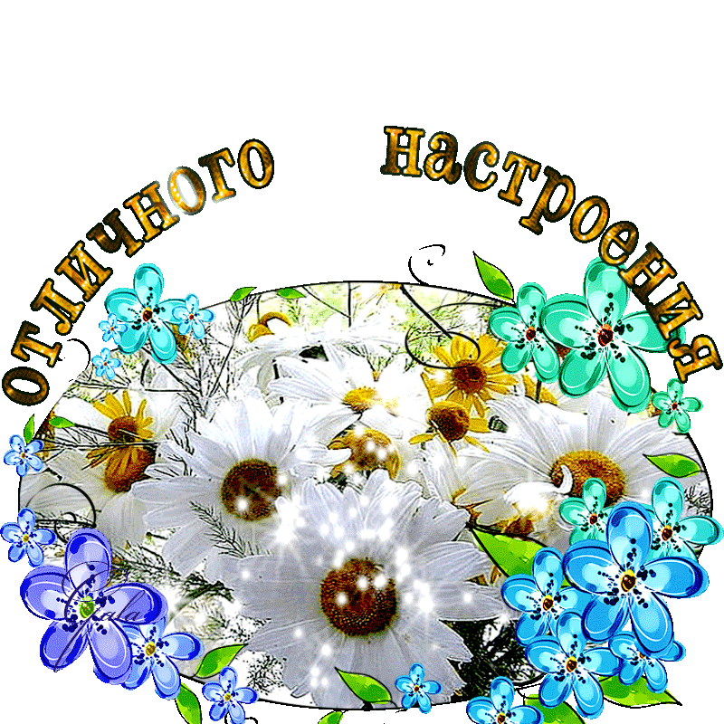 Фото из открытого источника в интернете.