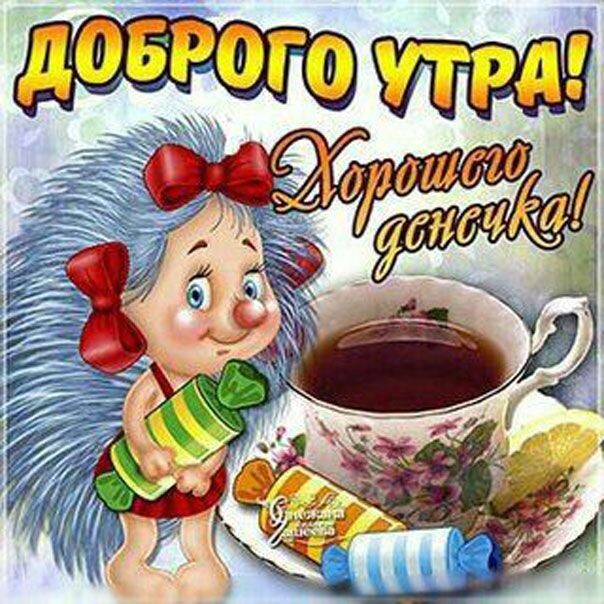 Фото из открытого источника в интернете 