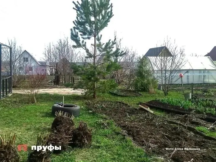    Фото: Пруфы.рф