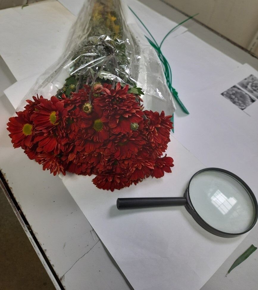     Источник: 125.fsvps.gov.ru