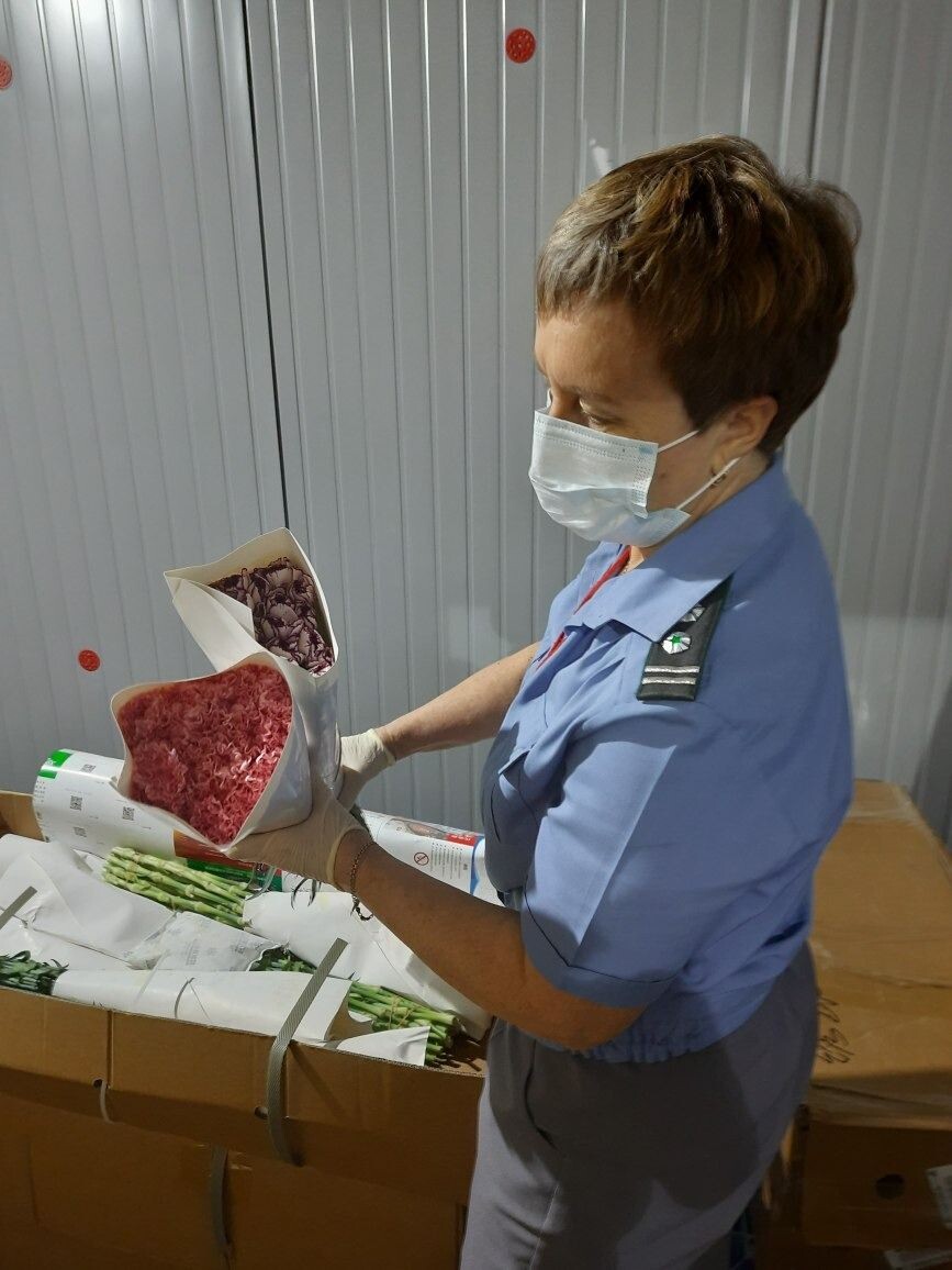     Источник: 125.fsvps.gov.ru