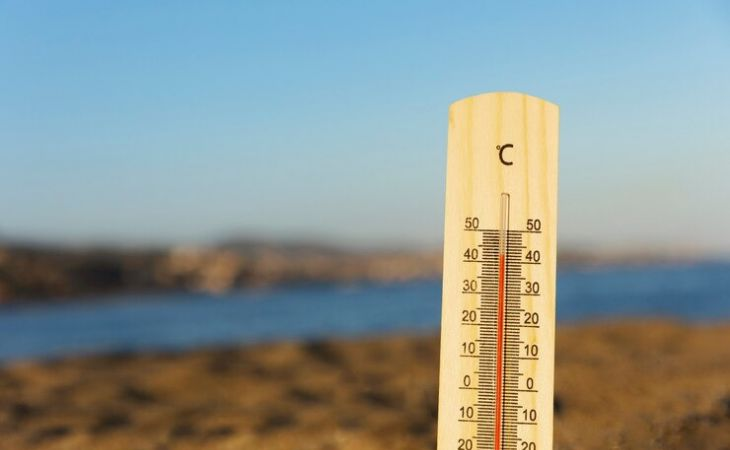 Фото:. freepik.com