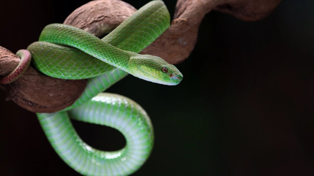    Фото: freepik.com