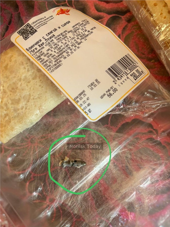 Фото: телеграм-канал «Норильск Today 18+»
