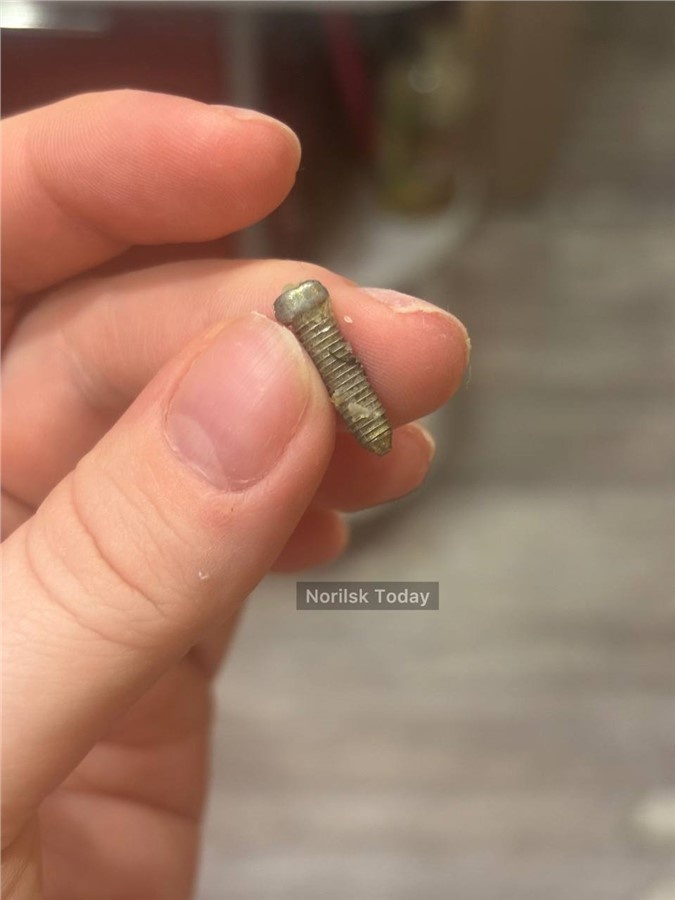 Фото: телеграм-канал «Норильск Today 18+»
