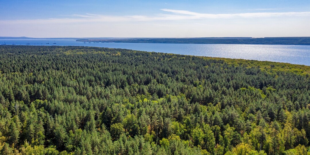 Штраф за прогулку в лесу: законно ли это?