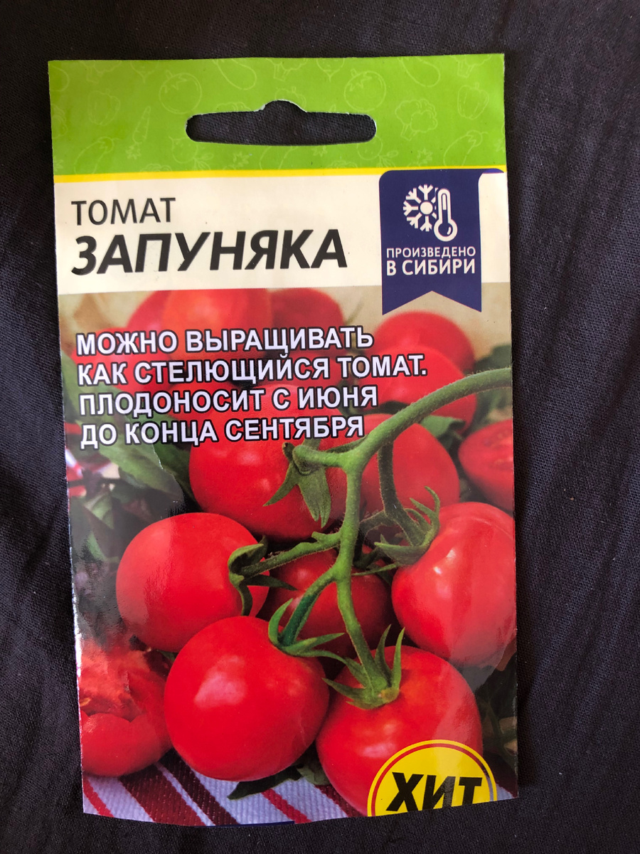 Запуняка