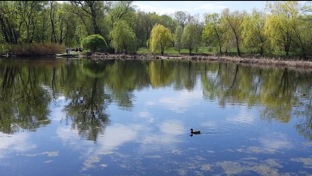 Очень живописно смотрится пруд. Фото автора.