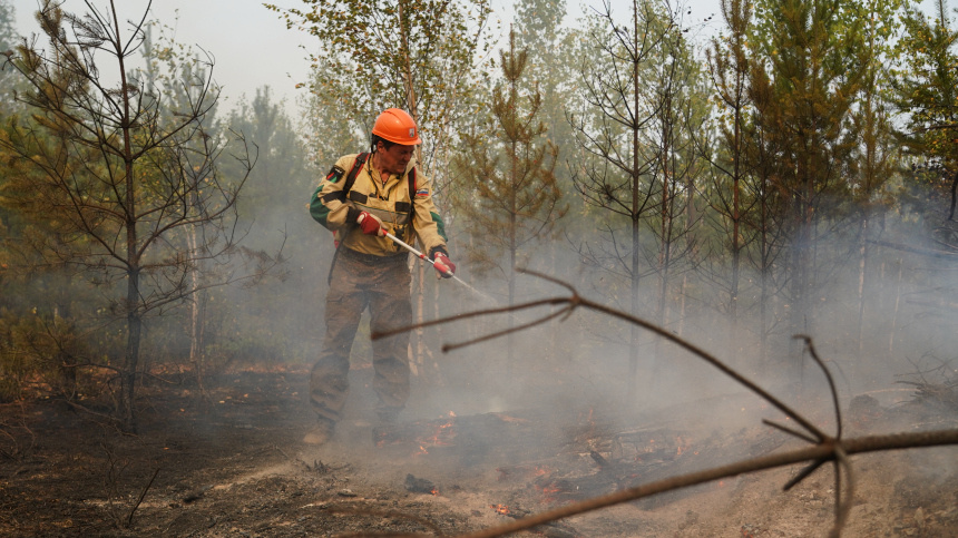    Фото: ИЗВЕСТИЯ/Кристина Кормилицына; 5-tv.ru