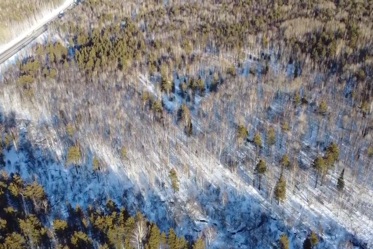    Фото предоставлено Владимиром Тереховым