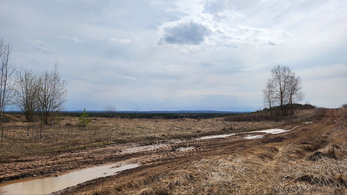 Весна, грязь- всё, как мы любим