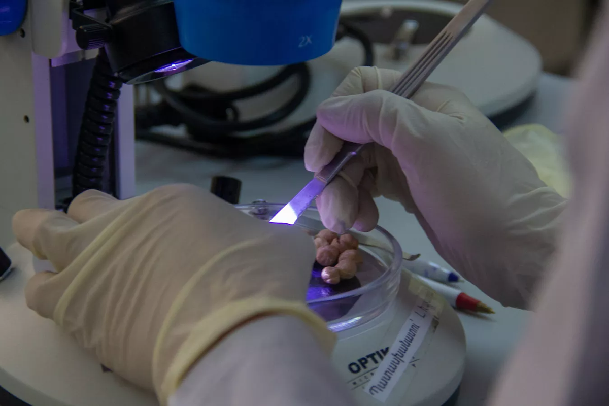 © Sputnik / Janna Poghosyan