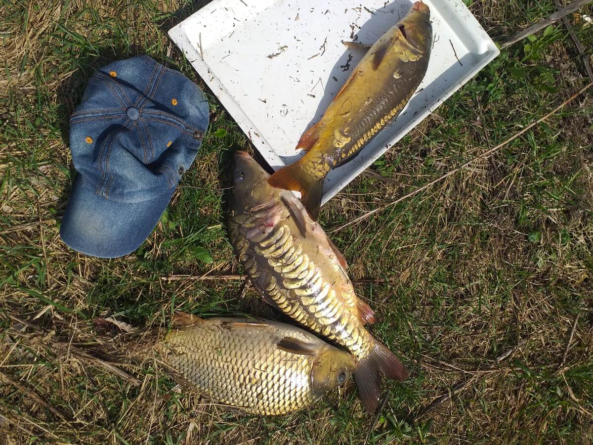 Такой вот уловчик