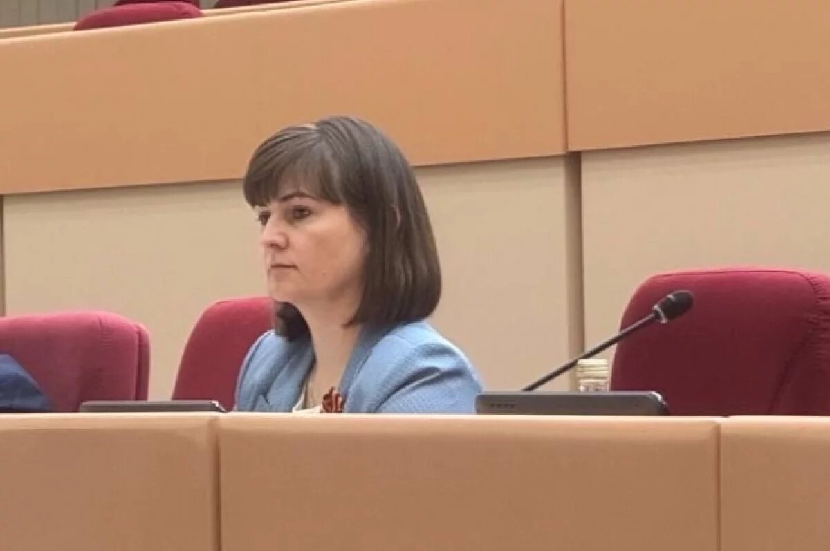    Депутат Мария Усова высказалась об отчете сенатора Валерия Радаева