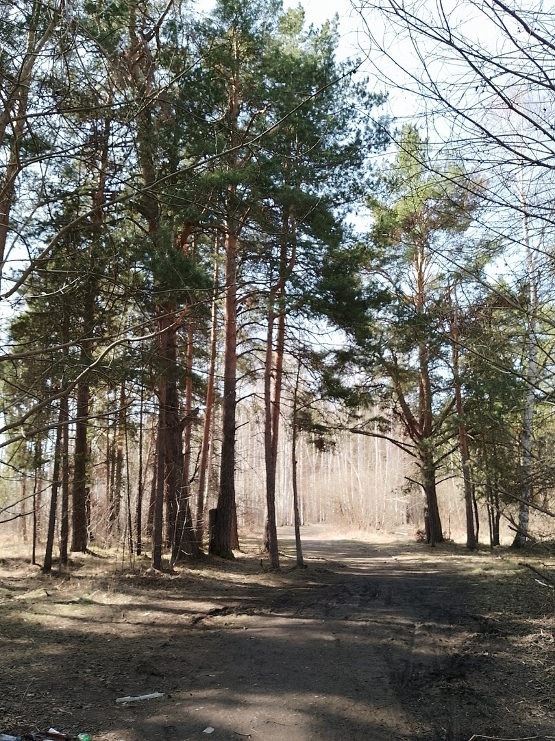 Парк, 24 апреля