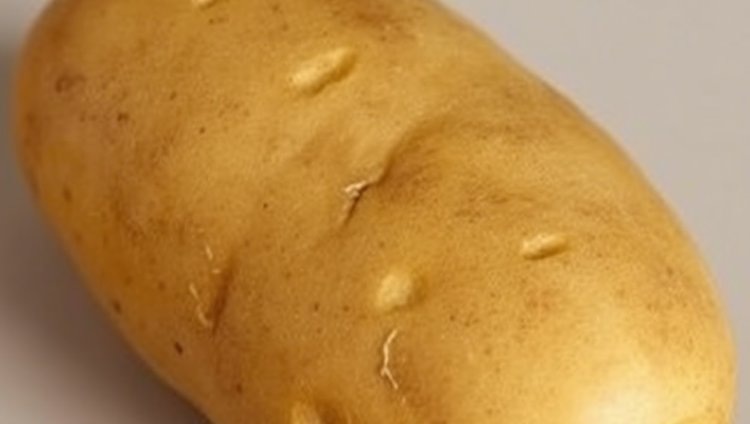    Южная Корея потенциально одобряет ГМО картофель из США