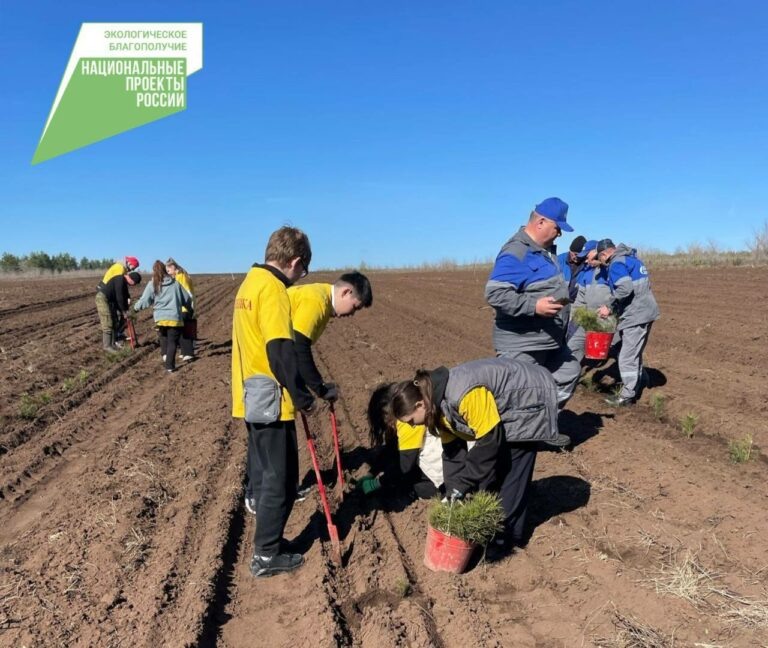    В Оренбуржье в рамках акции «Сад памяти» высадили уже 430 тысяч деревьев Белов Михаил Александрович