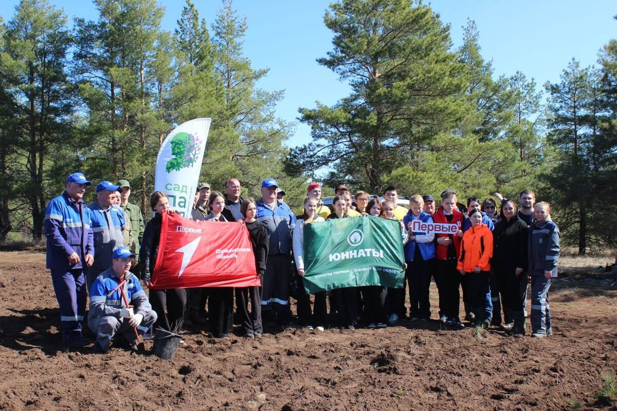    В Оренбуржье в рамках акции «Сад памяти» высадили уже 430 тысяч деревьев Белов Михаил Александрович