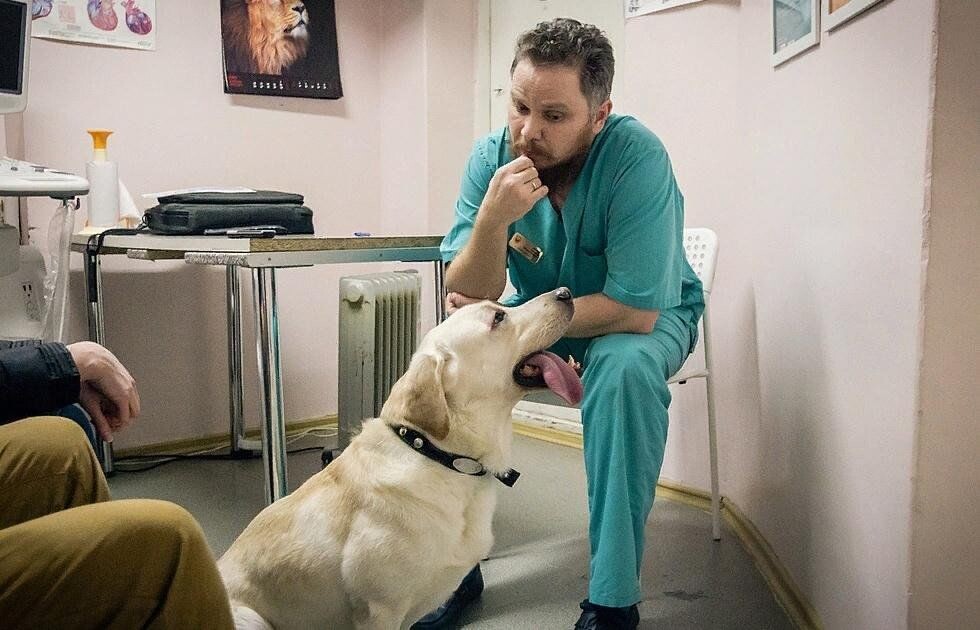 Взято из открытых источников.