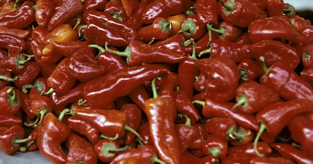 Фото: РИА «Новости»