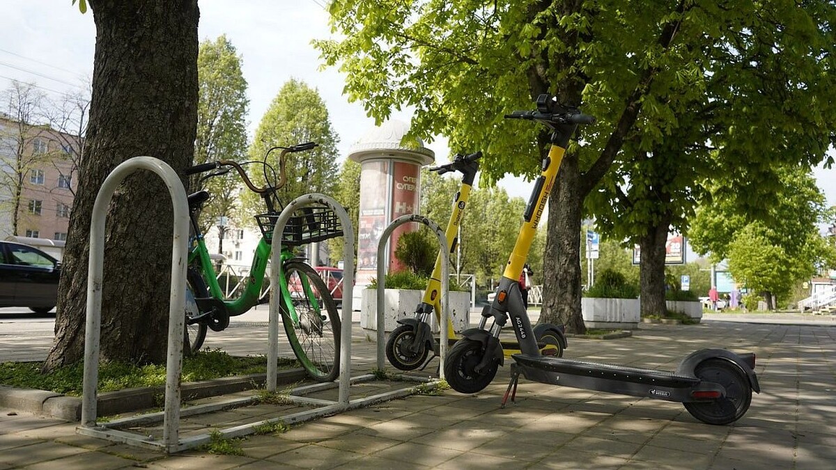    Фото: телеканал «Краснодар»