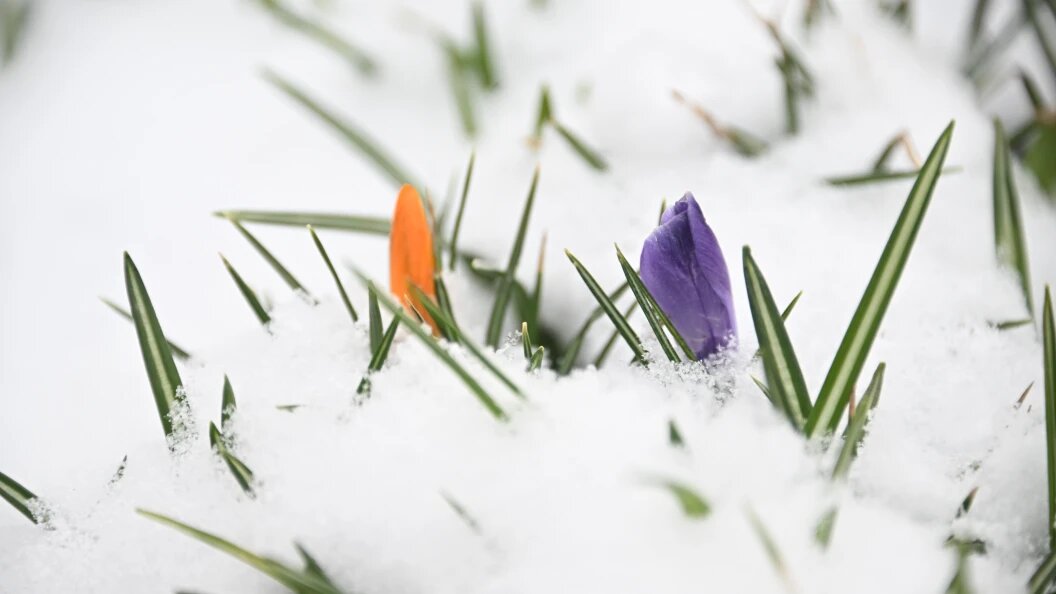    Komsomolskaya Pravda/Globallookpress