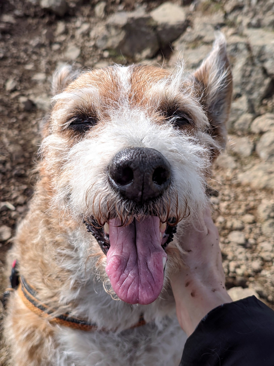 Это Кудряшка. Настоящее имя я не знаю. 