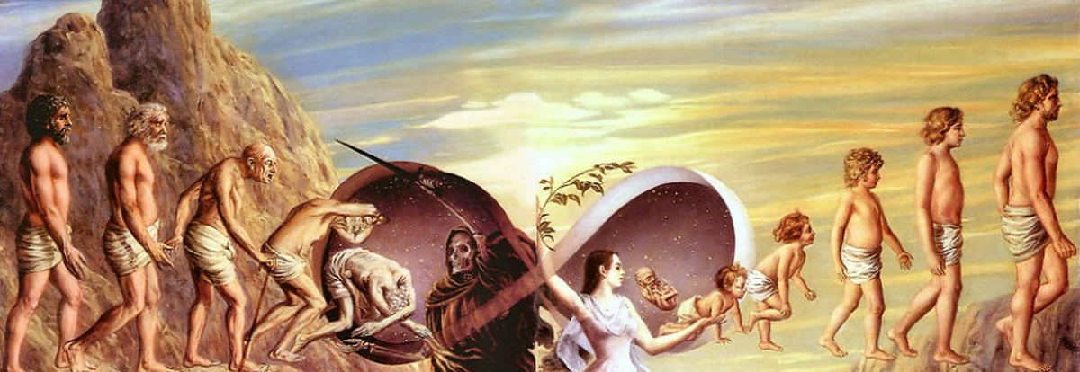 Картинки из интернета.