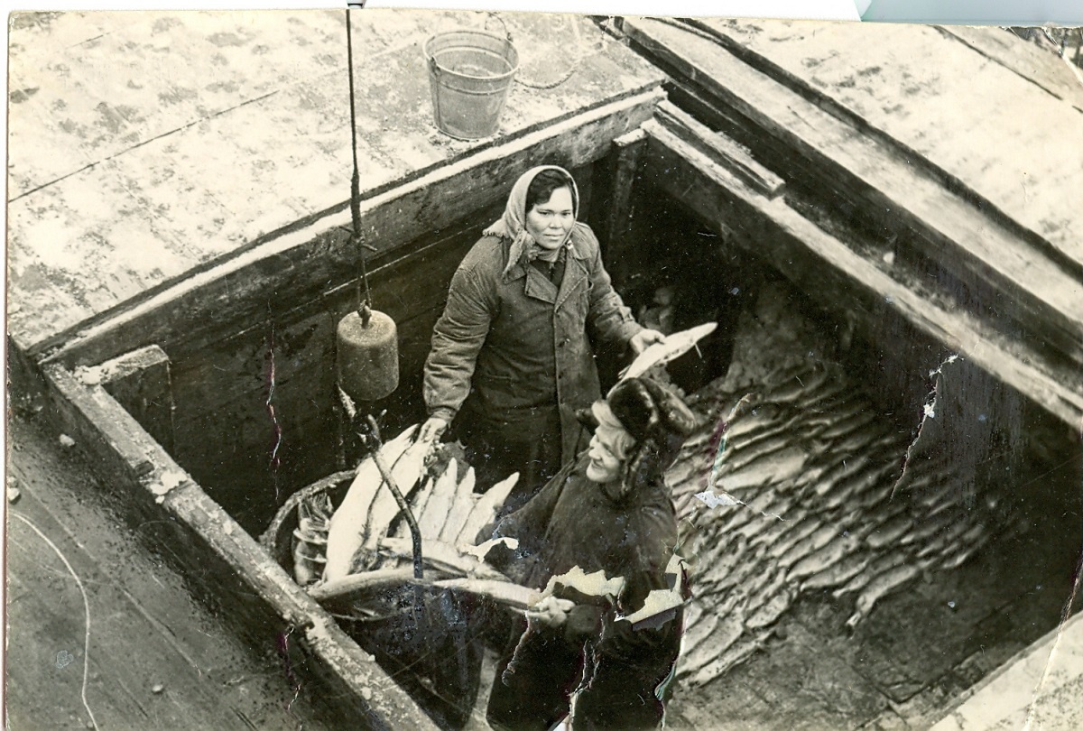    Даёшь стране рыбу!