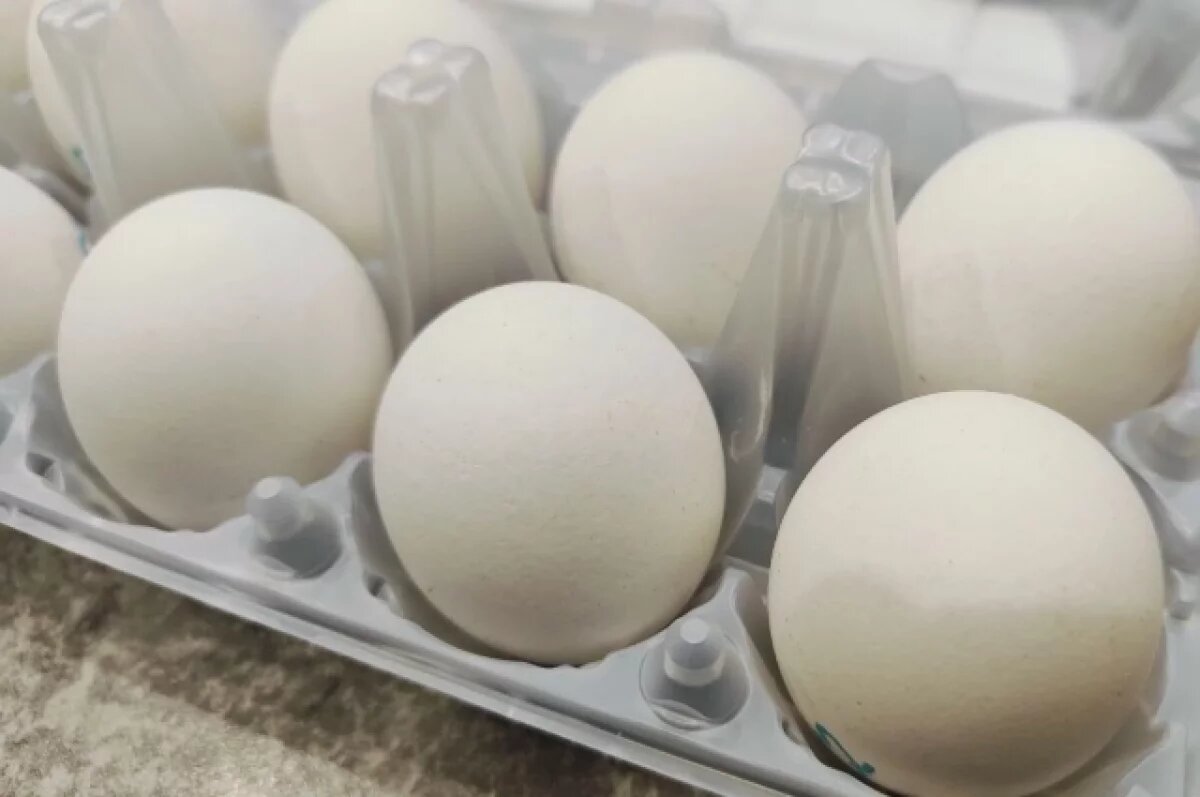    Омичей предупредили об опасных яйцах, молочных продуктах и рыбе